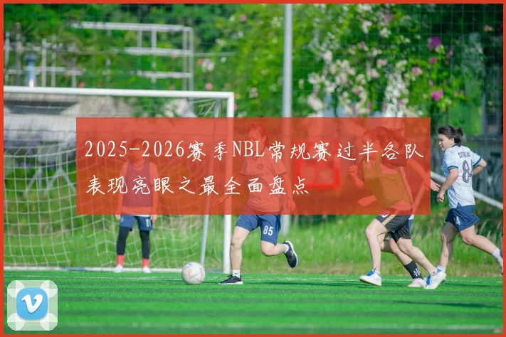 2025-2026赛季NBL常规赛过半各队表现亮眼之最全面盘点