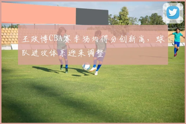 王政博CBA赛季场均得分创新高，球队进攻体系迎来调整
