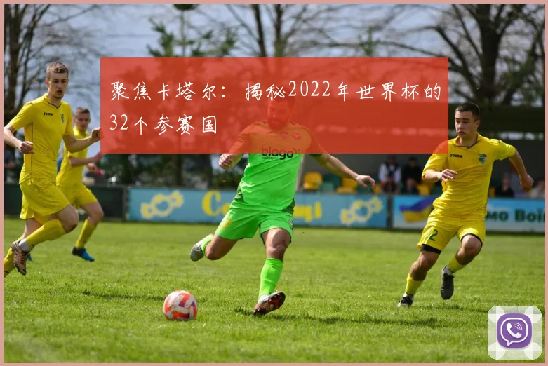 聚焦卡塔尔：揭秘2022年世界杯的32个参赛国