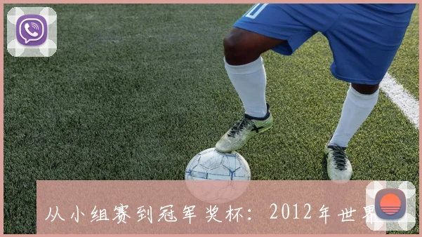 从小组赛到冠军奖杯：2012年世界杯的最终排名故事