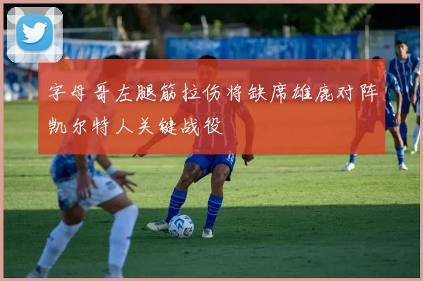 字母哥左腿筋拉伤将缺席雄鹿对阵凯尔特人关键战役