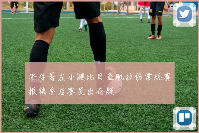 字母哥左小腿比目鱼肌拉伤常规赛报销季后赛复出存疑