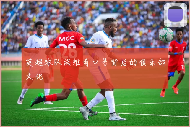 英超球队诺维奇口号背后的俱乐部文化