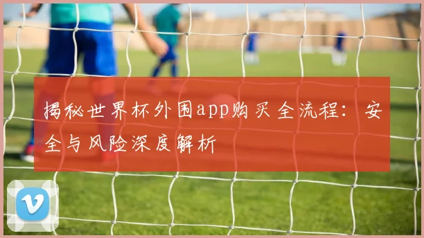 揭秘世界杯外围app购买全流程：安全与风险深度解析