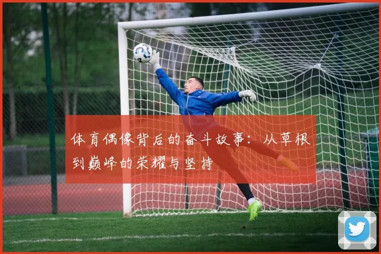 体育偶像背后的奋斗故事：从草根到巅峰的荣耀与坚持
