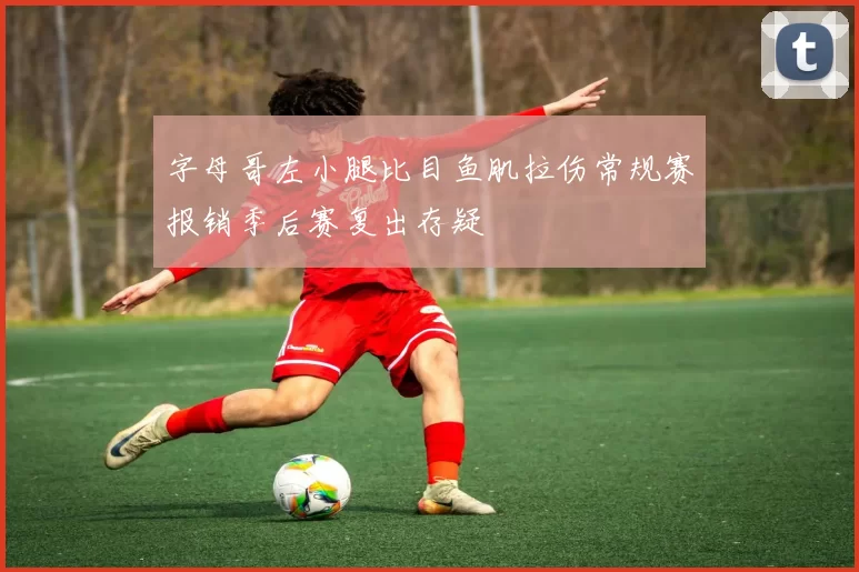 字母哥左小腿比目鱼肌拉伤常规赛报销季后赛复出存疑