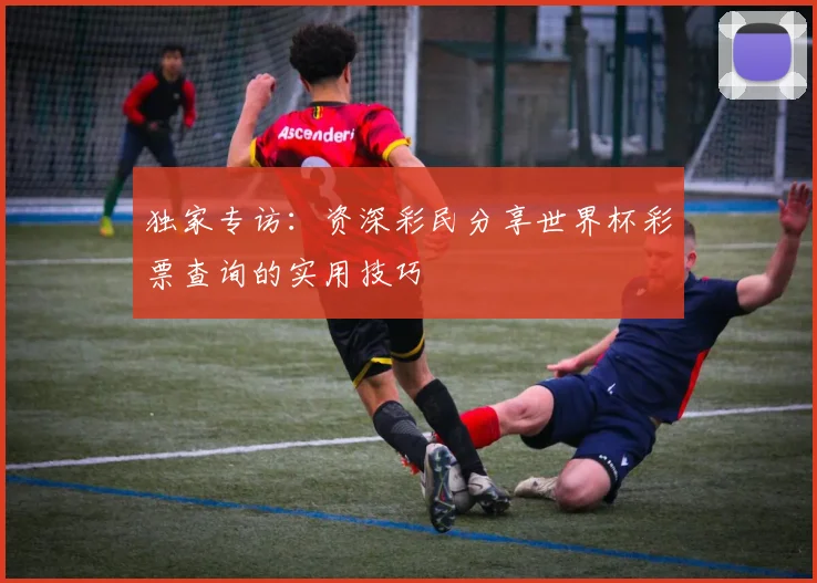 独家专访：资深彩民分享世界杯彩票查询的实用技巧