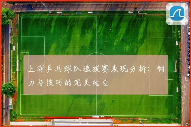 上海乒乓球队选拔赛表现分析：耐力与技巧的完美结合