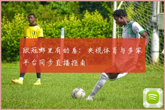 欧冠哪里有的看：央视体育与多家平台同步直播指南
