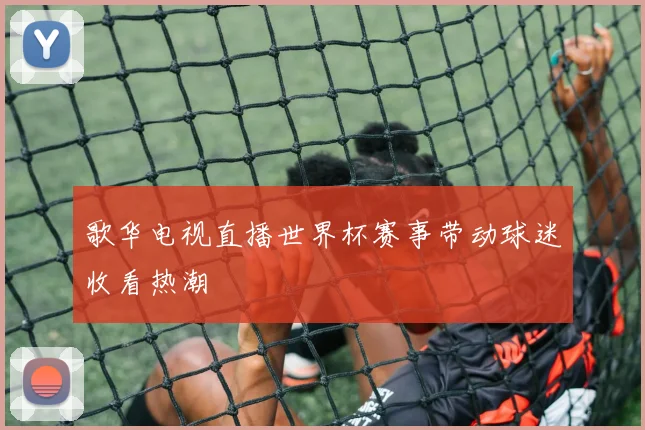 歌华电视直播世界杯赛事带动球迷收看热潮