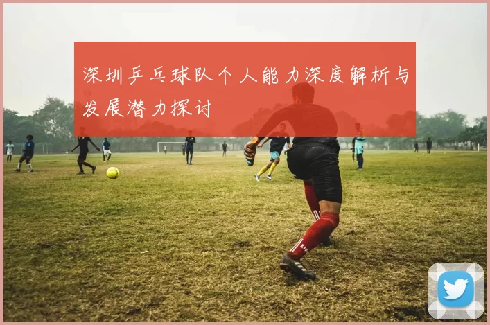 深圳乒乓球队个人能力深度解析与发展潜力探讨