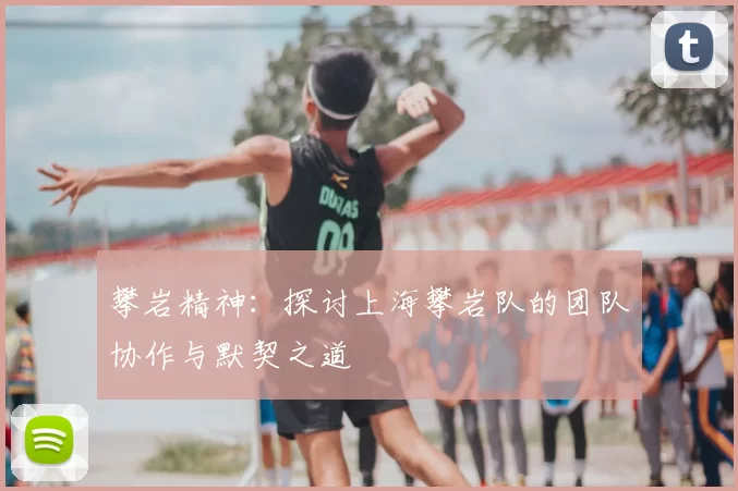 攀岩精神：探讨上海攀岩队的团队协作与默契之道