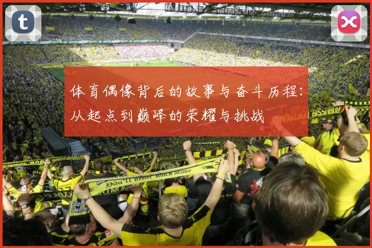 体育偶像背后的故事与奋斗历程：从起点到巅峰的荣耀与挑战