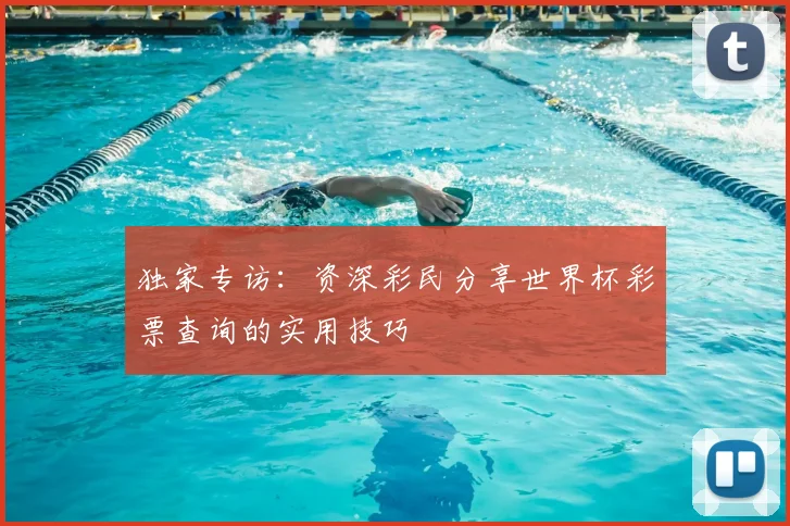 独家专访：资深彩民分享世界杯彩票查询的实用技巧