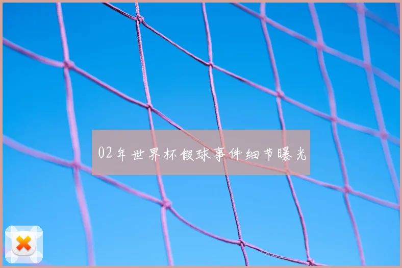 02年世界杯假球事件细节曝光