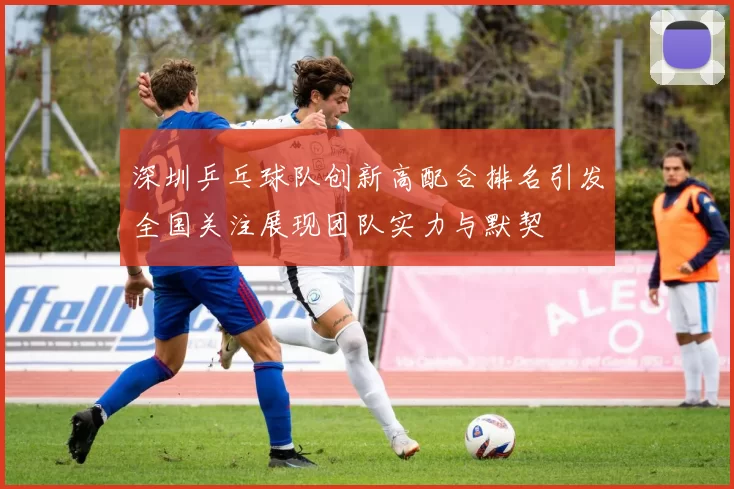 深圳乒乓球队创新高配合排名引发全国关注展现团队实力与默契
